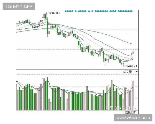广州足球队与上海足球队赛后技术分析与战术复盘探讨