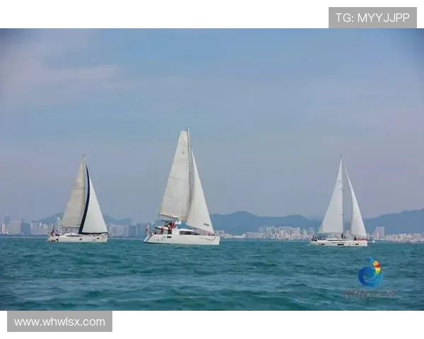 成都极限运动队实力分析与发展潜力探讨