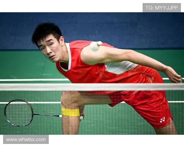 权威发布羽毛球力量实力榜单揭示顶尖选手竞技状态与潜力分析 权威发布羽毛球力量实力榜单揭示顶尖选手竞技状态与潜力分析