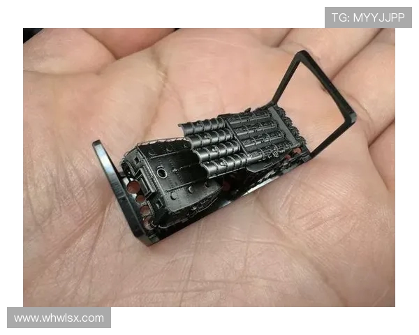 科学与和平精英相结合的力量训练方法探索与实践