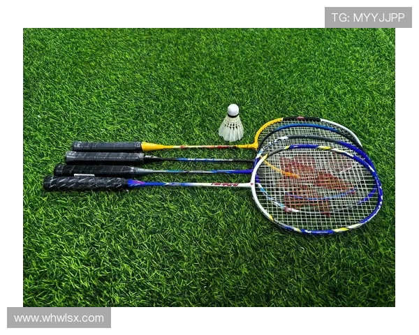 羽毛球热点：解读西安羽毛球队的节奏