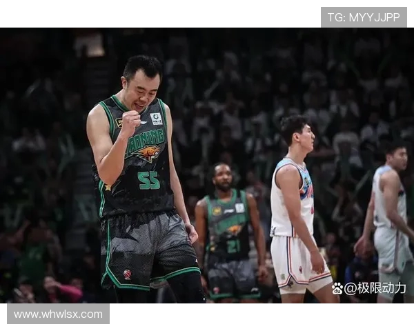 2017年CBA山东队与辽宁队激战回顾精彩瞬间与赛场亮点分析 2017年CBA山东队与辽宁队激战回顾精彩瞬间与赛场亮点分析