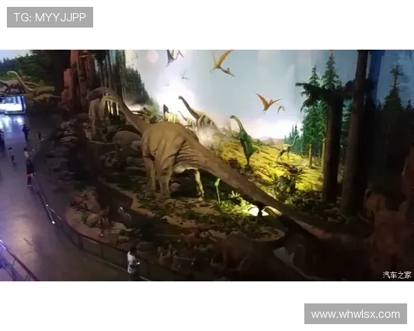 布莱克尼的魅力探秘：从历史遗迹到现代生活的完美融合