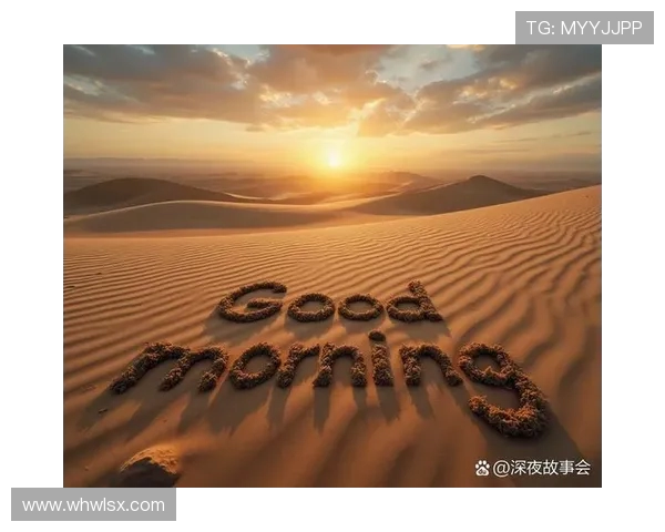 谢什科的传奇旅程与对未来的无限探索与启示 谢什科的传奇旅程与对未来的无限探索与启示