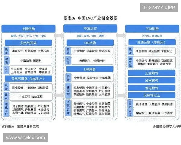 独家解析:全球LNG技术发展现状与未来趋势深度对比分析 独家解析:全球LNG技术发展现状与未来趋势深度对比分析