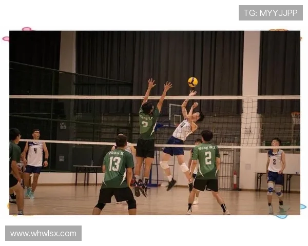 南京排球队在全国排球耐力排行榜中荣获第五名展现出强大实力与潜力